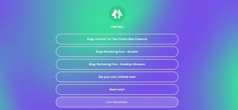 site web artiste industrie musicale linktree instagram tiktok facebook live discographie biographie press kit proxima centauri merchandising boutique en ligne